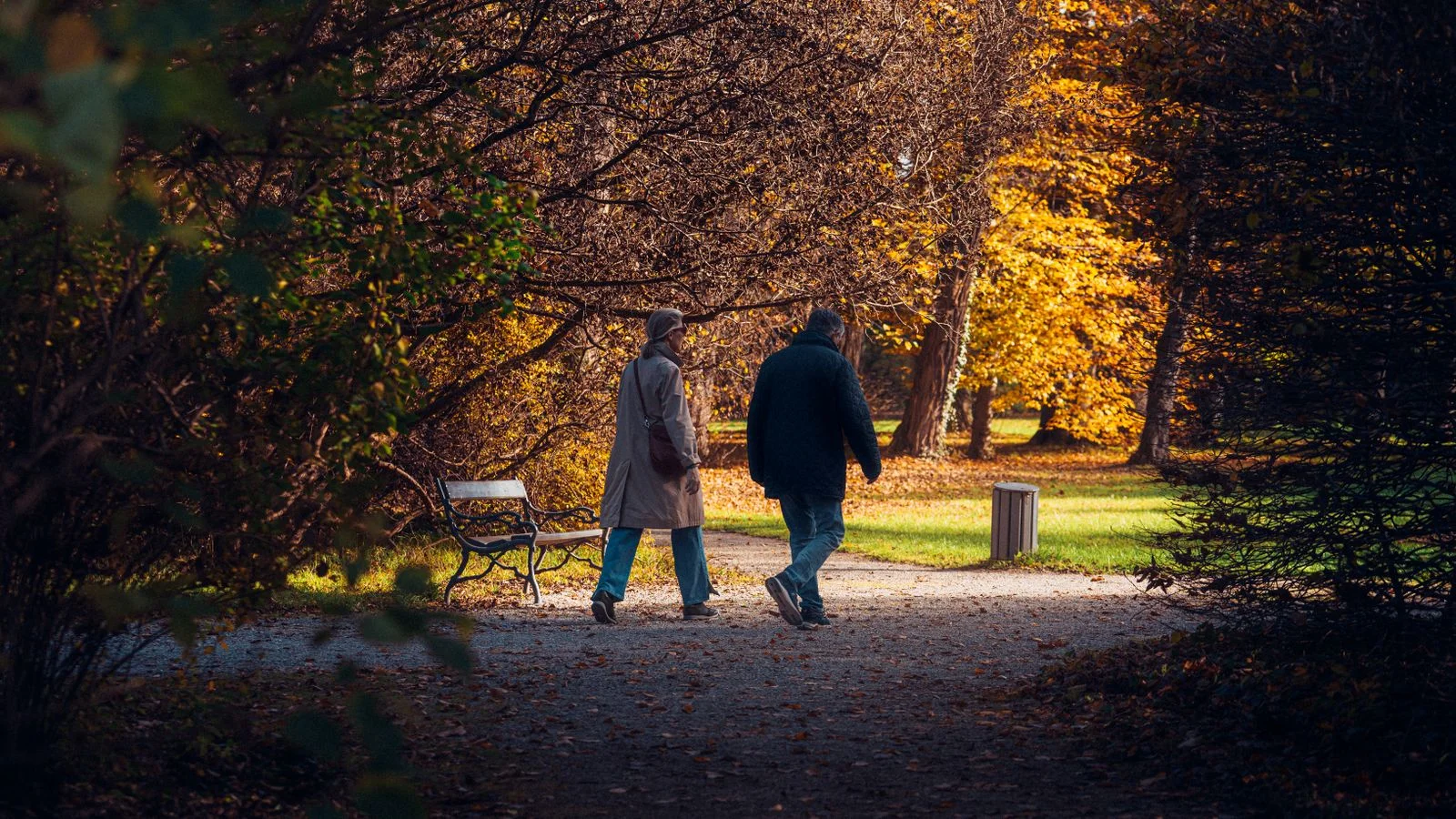 A couple walking together along a path through an autumn park